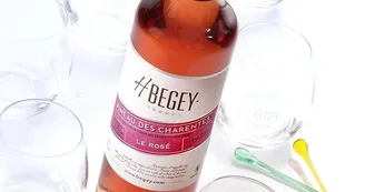 Vignoble H. Begey