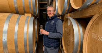 Vignoble Février