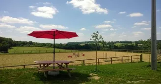 Centre équestre - Les écuries des chênes