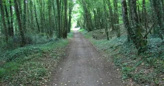 Gîte La maison - 7 pers