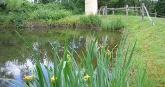 Gîte La maison - 7 pers