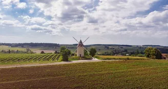 Le moulin du Grand Fief