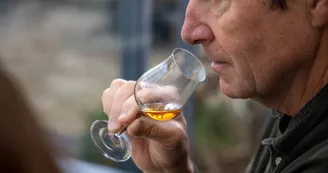 Suite en Terrasse à Cognac