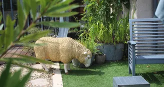 Suite en Terrasse à Cognac