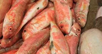 Marché de Port des Barques