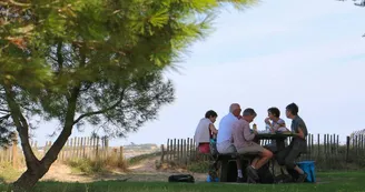 Aire de pique-nique de la Plage Nord