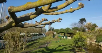 Fun Golf - Mini-golf