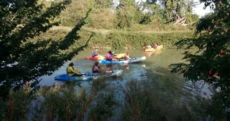 Balade verte en canoë dans le marais Rochefortais