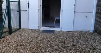Wilson 1 Wilson 1