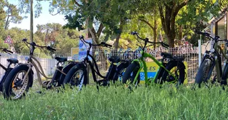 Drive Cycles Ronce-les-Bains