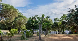 Camping Les Sables Vignier Plage