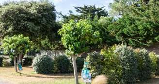 Camping Les Sables Vignier Plage