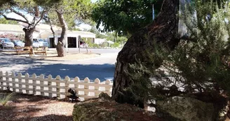 Camping Les Sables Vignier Plage