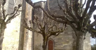 Église Saint-Étienne de Mortagne