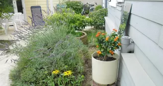 Grande Maison - Berson Yvonne