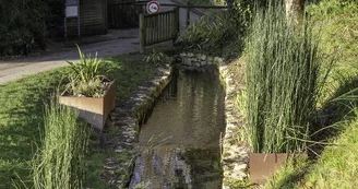 Parcours d'orientation vert - Le Lac de Vaux