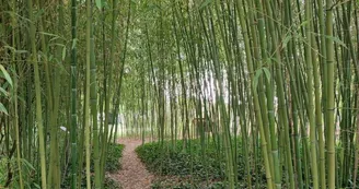 Jardin du Riollet