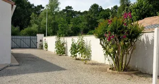 Les Noisetiers - Labbé Jean-Jacques