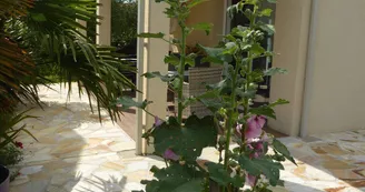 Egreteau Marie-Josephe