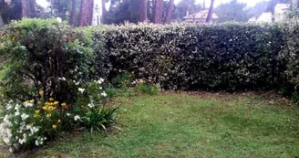 Thevenin-Ollivier Michèle