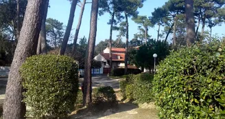 Thevenin-Ollivier Michèle