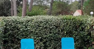 Thevenin-Ollivier Michèle