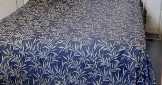 Thevenin-Ollivier Michèle