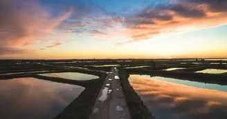 Point de vue - La Pointe de L'Éguille