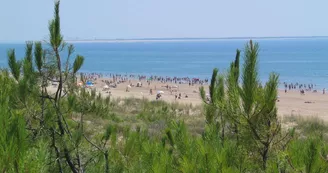Plage de la Grande Côte