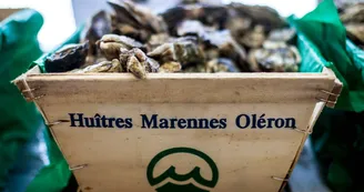 Les Viviers Charentais