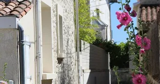 Janicot Didier - Appartement 1 - Maison Guy-Nadette