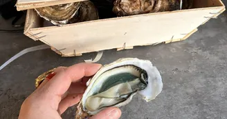 L'Écume 2.0
