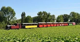 Train des Mouettes