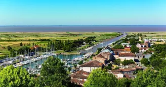 Point de vue - Le Belvédère