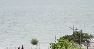 La Souris Verte - Laubier Christine