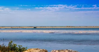 Point de vue - Le Point Sublime