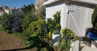 La Lisée Bleue - Jean-Lis Michèle