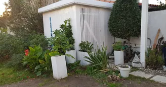 La Lisée Bleue - Jean-Lis Michèle