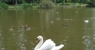 Baffet Denis et Jean-Luc