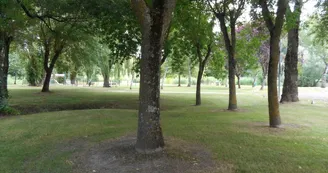 Baffet Denis et Jean-Luc