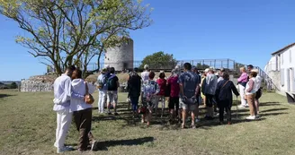 Musée et Site Gallo-Romains du Fâ