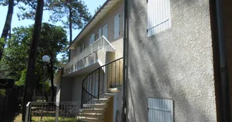 Les Pins de Mirbois - Querois Bruno