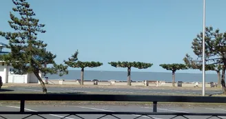 Les Pins de Mirbois - Querois Bruno