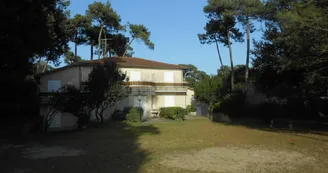 Les Pins de Mirbois - Querois Bruno