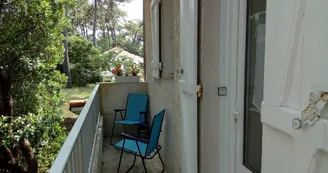 Les Pins de Mirbois - Querois Bruno