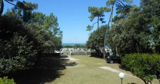 Les Pins de Mirbois - Querois Bruno