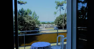 Les Pins de Mirbois - Querois Bruno