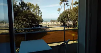 Les Pins de Mirbois - Querois Bruno