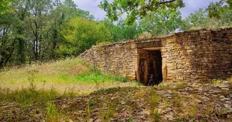 Mégalithes "Tumulus B"