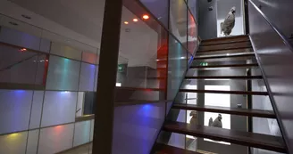 Design Hôtel des Francs Garçons